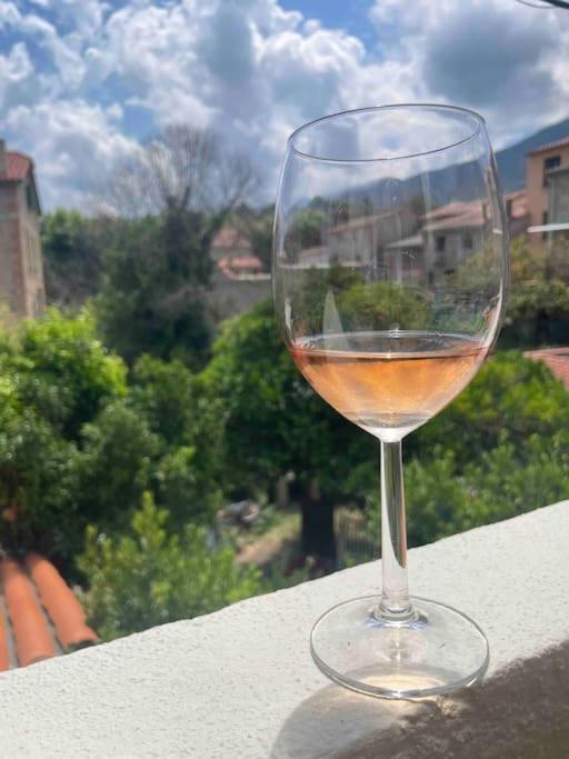Appartement Neuf, Grande Terrasse Plein Sud Laroque-des-Albères Eksteriør bilde